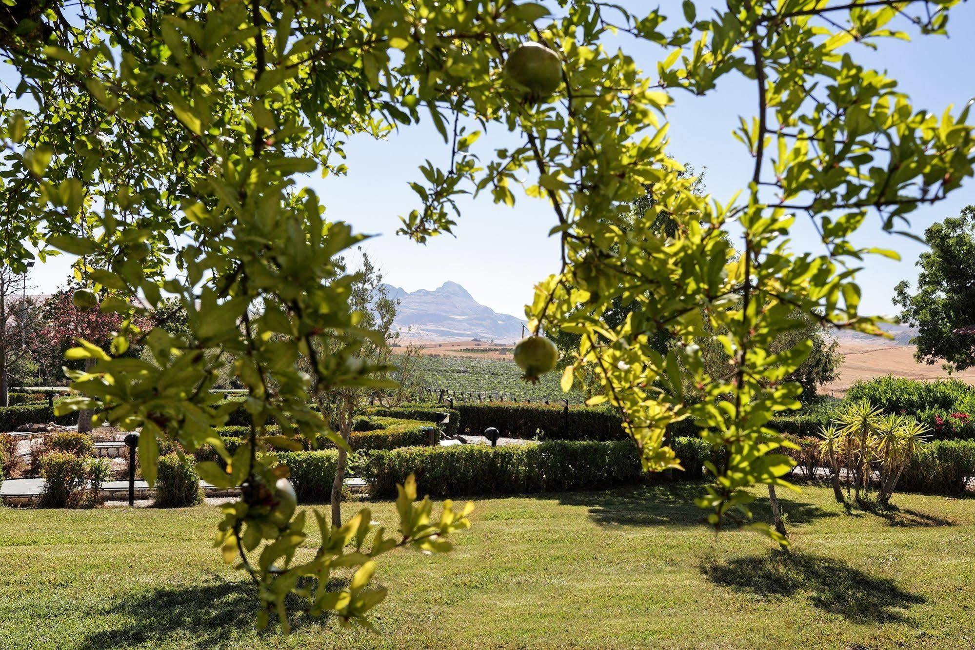 Agriturismo Tenute Pollara Roccamena Экстерьер фото